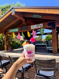 Frozen Bliss AZ Mobile Bevies: Bringing the Party to You! image 23