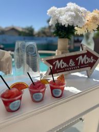 Frozen Bliss AZ Mobile Bevies: Bringing the Party to You! image 8