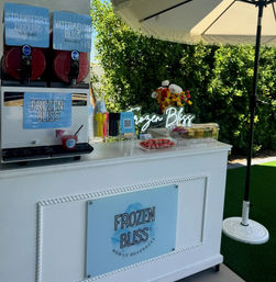 Frozen Bliss AZ Mobile Bevies: Bringing the Party to You! image 12