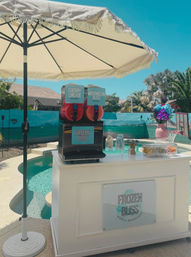 Frozen Bliss AZ Mobile Bevies: Bringing the Party to You! image 11