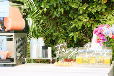 Frozen Bliss AZ Mobile Bevies: Bringing the Party to You! image 25
