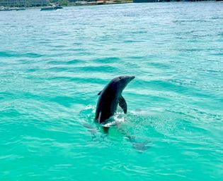 Private Captained Tiki Party Boat to Crab Island for Up to 18 (BYOB) image 10