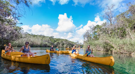 Mayan Jungle Escape - Zip, Canoe, and Cenote Splash image 2