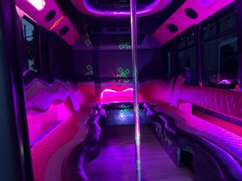 Party Buses for Wine Tours, Brewery Tours, 6th St Bars & More image 14