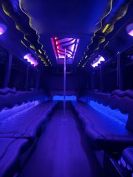 Party Buses for Wine Tours, Brewery Tours, 6th St Bars & More image 16