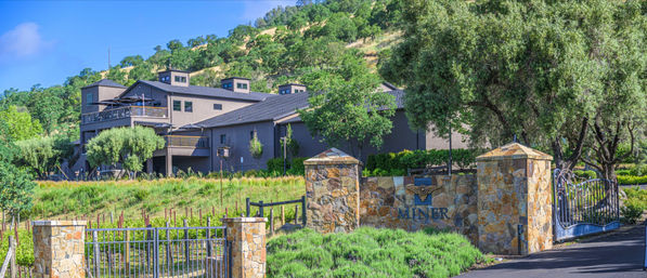 Golden Gate, Giant Trees & Great Wine: Private All-in-One Epic Day Filled with Unforgettable Memories image 21