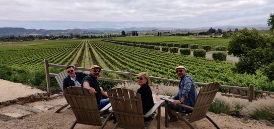 Golden Gate, Giant Trees & Great Wine: Private All-in-One Epic Day Filled with Unforgettable Memories image 17