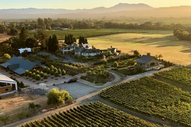 Golden Gate, Giant Trees & Great Wine: Private All-in-One Epic Day Filled with Unforgettable Memories image 16