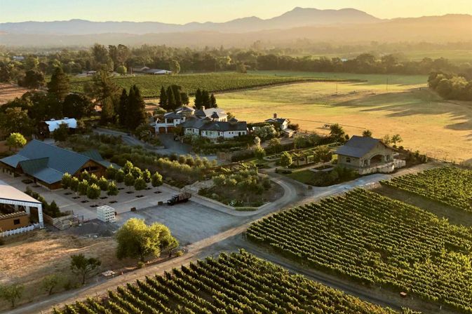 Golden Gate, Giant Trees & Great Wine: Private All-in-One Epic Day Filled with Unforgettable Memories image 16
