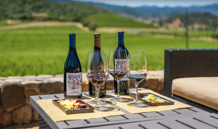 Golden Gate, Giant Trees & Great Wine: Private All-in-One Epic Day Filled with Unforgettable Memories image 2