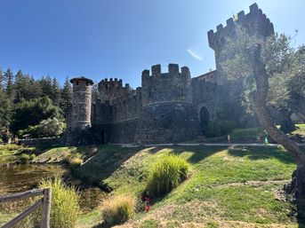 Golden Gate, Giant Trees & Great Wine: Private All-in-One Epic Day Filled with Unforgettable Memories image 18