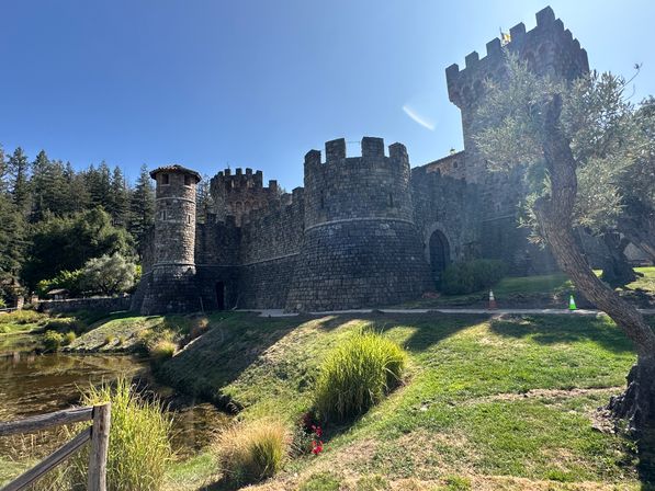 Golden Gate, Giant Trees & Great Wine: Private All-in-One Epic Day Filled with Unforgettable Memories image 18
