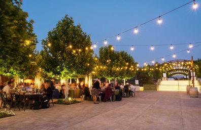 Golden Gate, Giant Trees & Great Wine: Private All-in-One Epic Day Filled with Unforgettable Memories image 11