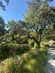 Golden Gate, Giant Trees & Great Wine: Private All-in-One Epic Day Filled with Unforgettable Memories image 5