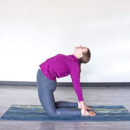 Flow & Glow: Private Yoga Practice   image 13