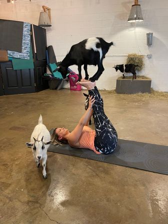 Goat Yoga Group Sessions at Shenanigoats: Insta-worthy Grounding with Goats with Public & Private Classes image 21