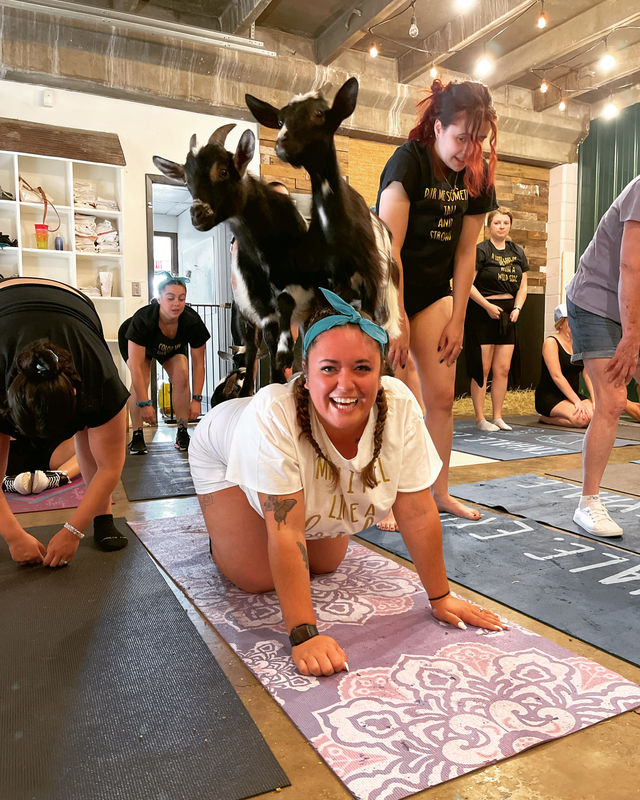 Goat Yoga Group Sessions at Shenanigoats: Insta-worthy Grounding with Goats with Public & Private Classes image 4