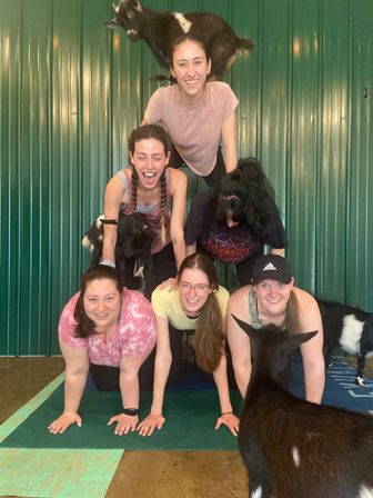 Goat Yoga Group Sessions at Shenanigoats: Insta-worthy Grounding with Goats with Public & Private Classes image 26