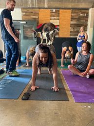 Goat Yoga Group Sessions at Shenanigoats: Insta-worthy Grounding with Goats with Public & Private Classes image 29