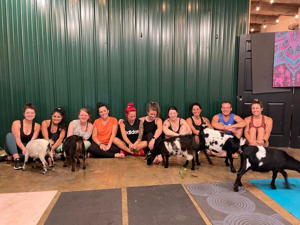 Goat Yoga Group Sessions at Shenanigoats: Insta-worthy Grounding with Goats with Public & Private Classes image 10