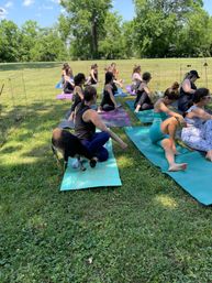 Goat Yoga Group Sessions at Shenanigoats: Insta-worthy Grounding with Goats with Public & Private Classes image 27