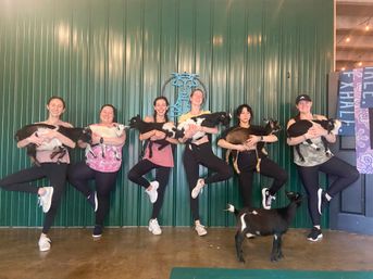 Goat Yoga Group Sessions at Shenanigoats: Insta-worthy Grounding with Goats with Public & Private Classes image 18