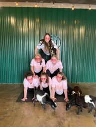 Goat Yoga Group Sessions at Shenanigoats: Insta-worthy Grounding with Goats with Public & Private Classes image 12