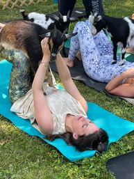 Goat Yoga Group Sessions at Shenanigoats: Insta-worthy Grounding with Goats with Public & Private Classes image 6