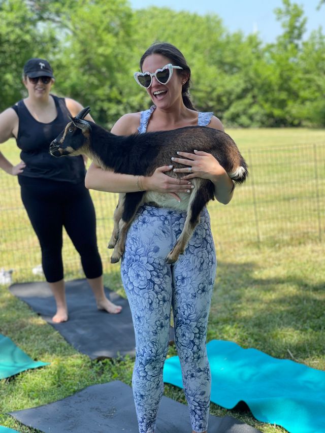 Goat Yoga Group Sessions at Shenanigoats: Insta-worthy Grounding with Goats with Public & Private Classes image 5