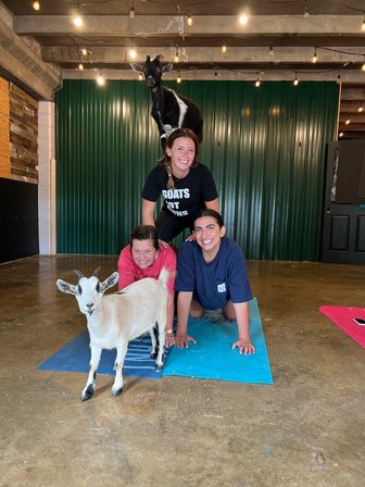 Goat Yoga Group Sessions at Shenanigoats: Insta-worthy Grounding with Goats with Public & Private Classes image 1