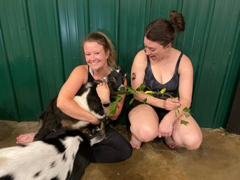 Goat Yoga Group Sessions at Shenanigoats: Insta-worthy Grounding with Goats with Public & Private Classes image 20