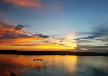 Wildlife + Good Times: Bayou Tours for Bachelor, Bachelorette & Birthday Trips image 7