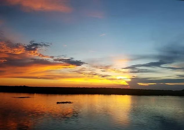 Wildlife + Good Times: Bayou Tours for Bachelor, Bachelorette & Birthday Trips image 7