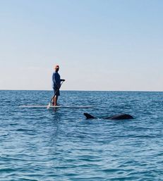 Epic Paddle Party: Stand-Up Paddleboarding & Beach Games in SoCal! image 16