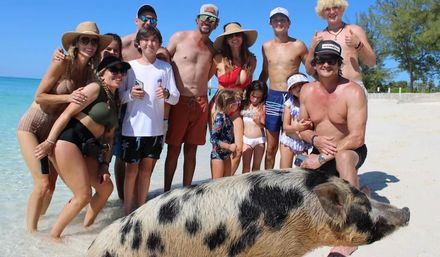 3 Islands Boat Adventure: Swimming Pigs, Turtles, Snorkeling & More! image 5