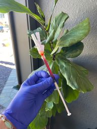 Customized IV Hydration Therapy: Boost Energy, Immunity & Recovery Fast image 5