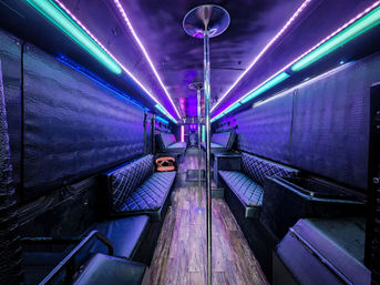 Experience the Ultimate BYOB Nightclub on Wheels with How High Party Bus (Up to 35 People) image 6