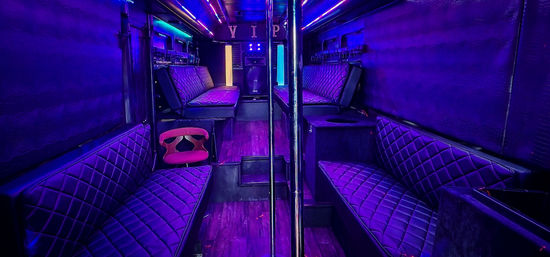 Experience the Ultimate BYOB Nightclub on Wheels with How High Party Bus (Up to 35 People) image 9