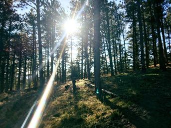 Spring Mountain Ranch Hike Plus Happy Hour image 2