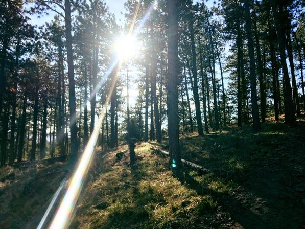 Spring Mountain Ranch Hike Plus Happy Hour image 2