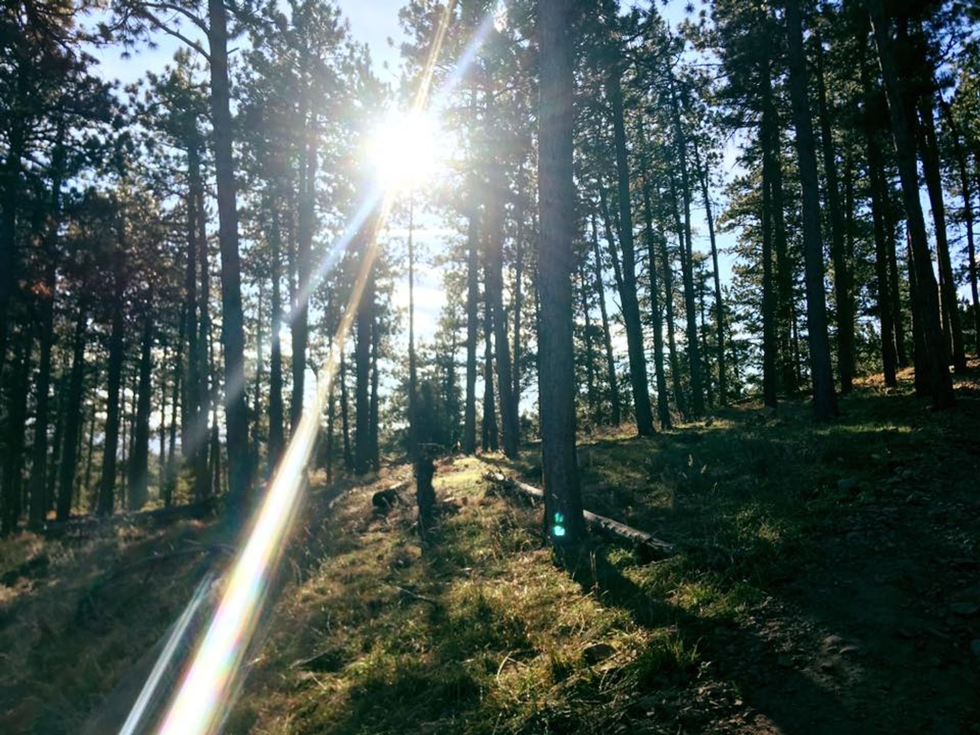 Spring Mountain Ranch Hike Plus Happy Hour image 2