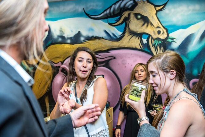 Cannabis Experience Box by GreenDoor image 11