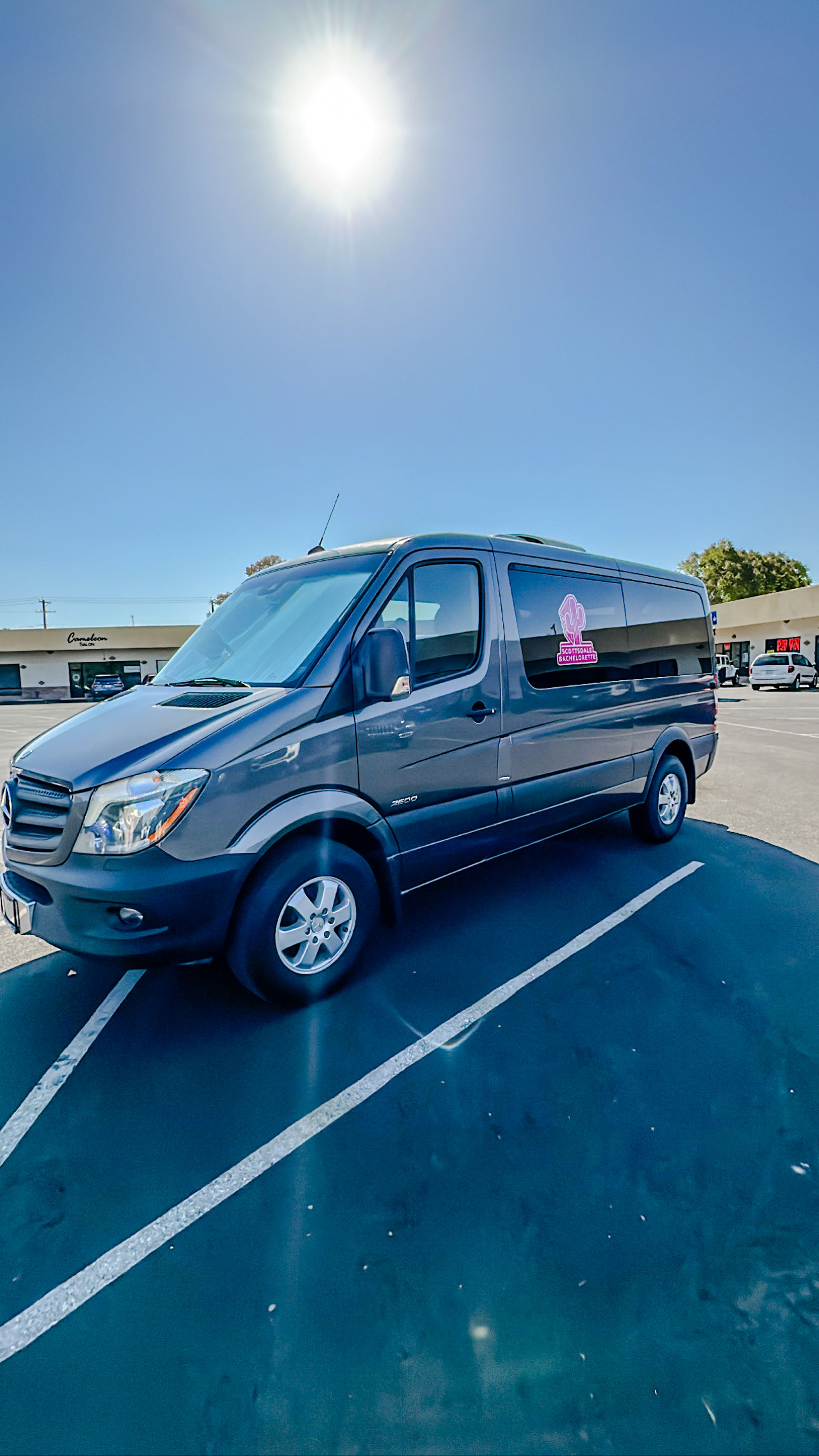 VIP Limo Service: Mercedes-Benz Party Bus Gallery