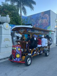Pedal Pub Miami: Arts District Party Bike Pub Crawl image 9