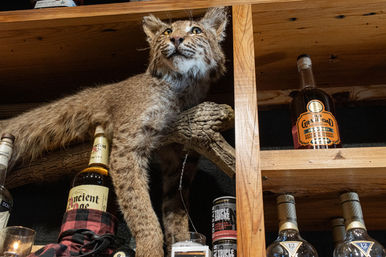 Sip Like a Local: Superb Cocktails, Neighborhood Charm, and an Authentic Escape from Downtown image 17