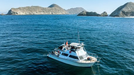 Private San Diego Yacht Party: BYO Food, Drinks & Fun (25 Guests) image 14