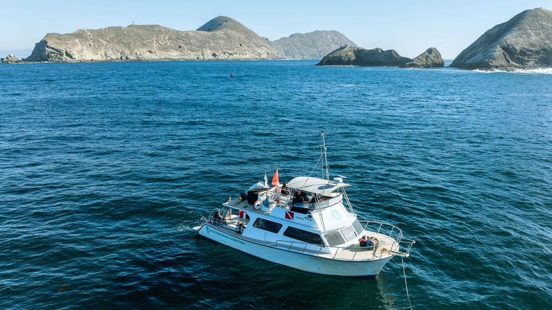 Private San Diego Yacht Party: BYO Food, Drinks & Fun (25 Guests) image 14