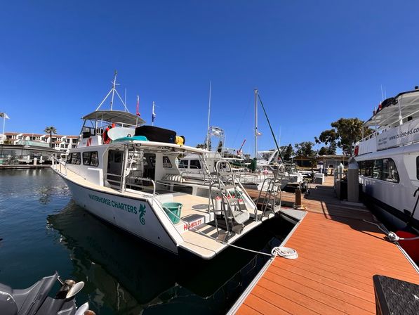 Private San Diego Yacht Party: BYO Food, Drinks & Fun (25 Guests) image 15