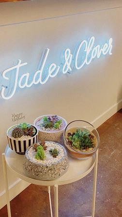 Build Your Own Succulent Terrarium Either In-Store or We Come to You (BYOB) image 3