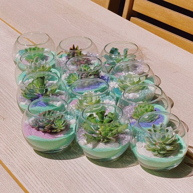 Build Your Own Succulent Terrarium Either In-Store or We Come to You (BYOB) image 4